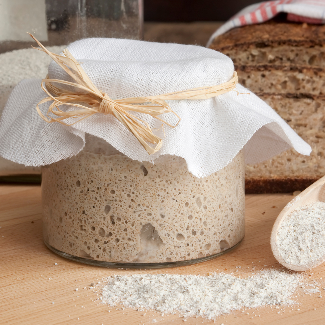 Sourdough Basics with Bluebonnet Dough Works (11/14)